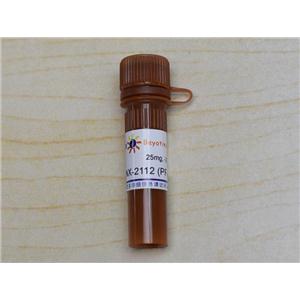 SNX-2112 (PF-04928473) (HSP90α抑制剂)