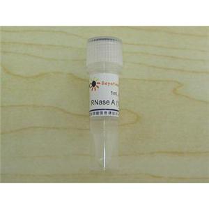 RNase A (10mg/ml),RNase A (10mg/ml)