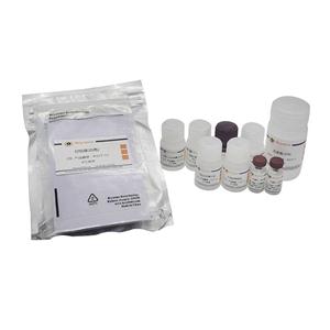 Rat IL-2 ELISA Kit,Rat IL-2 ELISA Kit