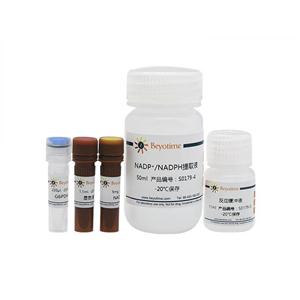 NADP+/NADPH检测试剂盒(WST-8法)