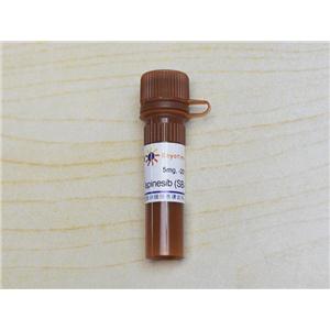 Ispinesib (SB-715992) (KSP抑制剂)
