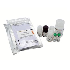 Human Insulin ELISA Kit (Ultrasensitive)