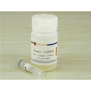 HDAC6抗体(兔多抗)