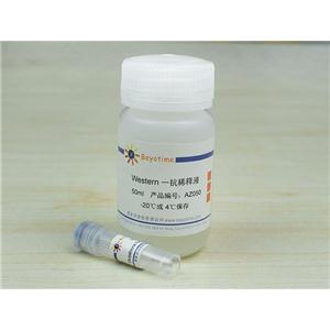 Glutathione Peroxidase 1 Mouse Monoclonal Antibody,Glutathione Peroxidase 1 Mouse Monoclonal Antibody