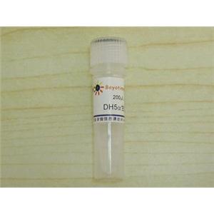 DH5α甘油菌