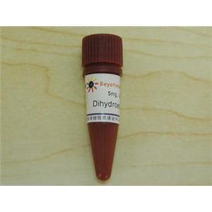 Dihydroethidium (超氧化物阴离子荧光探针)