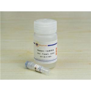 BAX Mouse Monoclonal Antibody