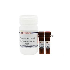 Annexin V-FITC细胞凋亡检测试剂盒,Annexin V-FITC细胞凋亡检测试剂盒