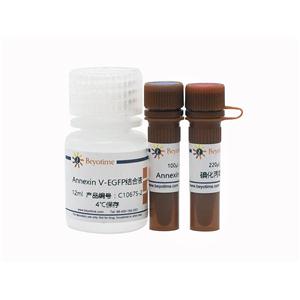 Annexin V-EGFP细胞凋亡检测试剂盒