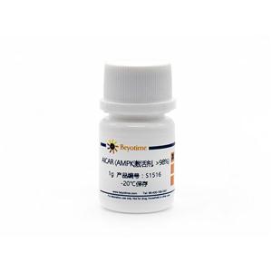 AICAR (AMPK激活剂, >98%)