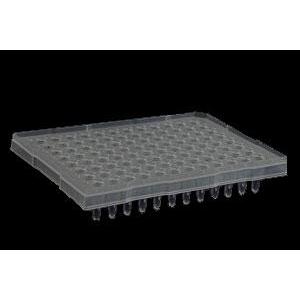 96管PCR板(带边框),96管PCR板(带边框)