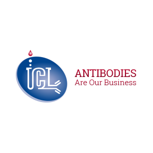 ICLLAB二抗抗小鼠anti-Mouse IgG1 Antibody,ICLLAB二抗抗小鼠anti-Mouse IgG1 Antibody