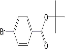 叔丁基-4-溴苯甲酸,tert-Butyl 4-bromobenzoate