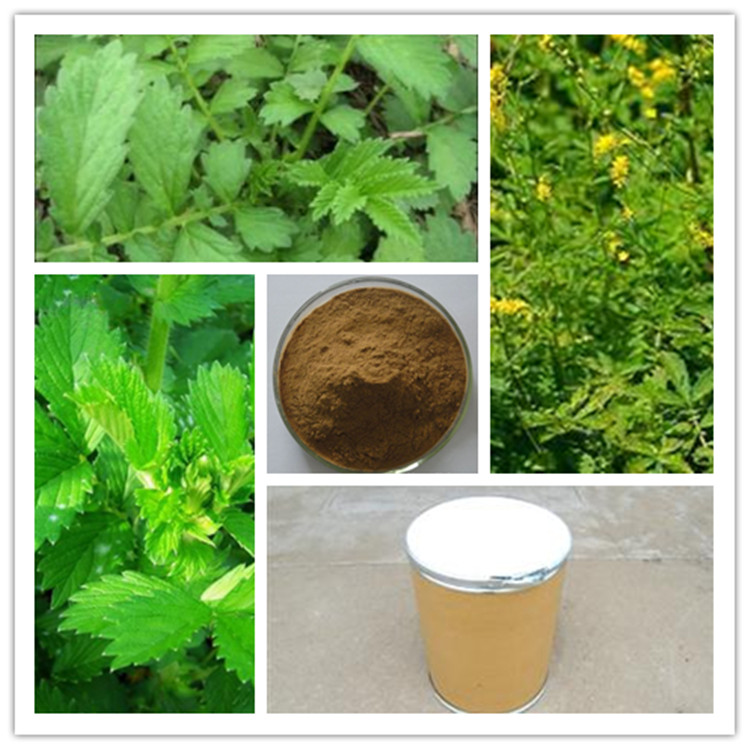 仙鹤草提取物,Agrimony Extract