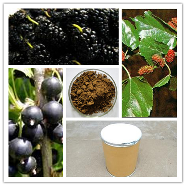 桑葚提取物,Mulberry Fruit Extract
