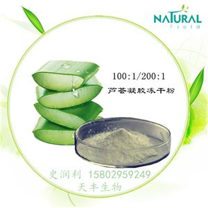 芦荟凝胶粉,Aloe Vera Gel Powde