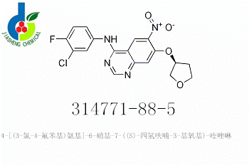 4-[(3-氯-4-氟苯基)氨基]-6-硝基-7-((S)-四氢呋喃-3-基氧基)-喹唑啉,4-QuinazolinaMine, N-(3-chloro-4-fluorophenyl)-6-nitro-7-[[(3S)-tetrahydro-3-furanyl]oxy]-