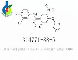 4-[(3-氯-4-氟苯基)氨基]-6-硝基-7-((S)-四氢呋喃-3-基氧基)-喹唑啉,4-QuinazolinaMine, N-(3-chloro-4-fluorophenyl)-6-nitro-7-[[(3S)-tetrahydro-3-furanyl]oxy]-