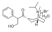 异丙托溴铵,pratropium Bromide
