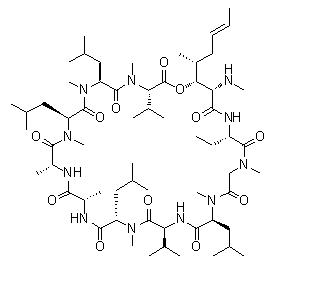 異構(gòu)環(huán)孢菌素 A,Isocyclosporine Impurity A