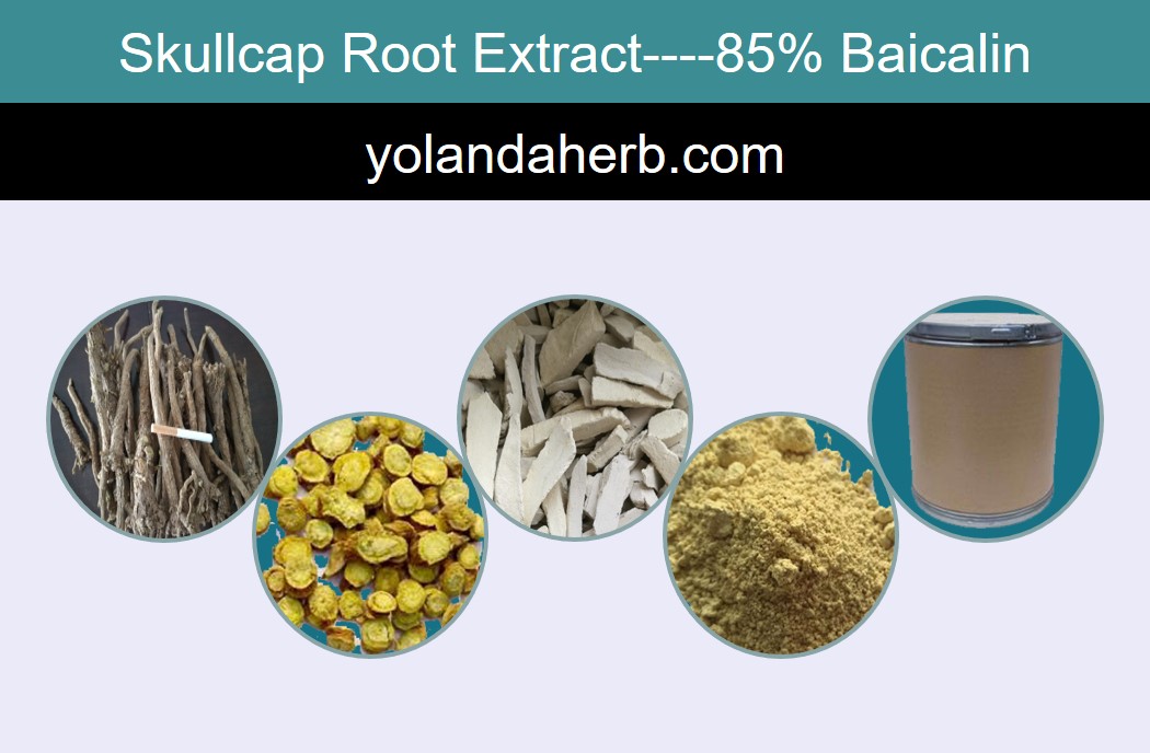 黄芩苷,Scutellaria Baicalensis Extract