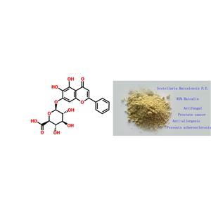 黄芩甙,Skullcap Root Extract