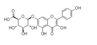 (2S,3S,4S,5R,6S)-6-((3,5-dihydroxy-2-(4-hydroxyphenyl)-4-oxo-4H-chromen-7-yl)oxy)-3,4,5-trihydroxytetrahydro-2H-pyran-2-carboxylic acid