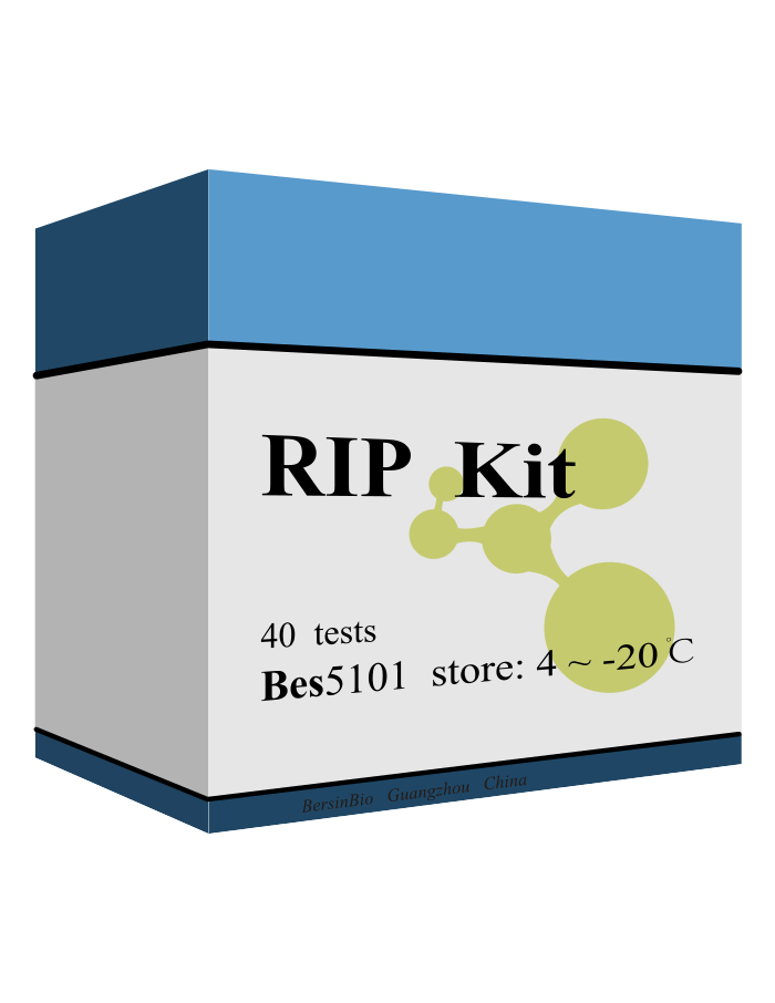 RIP试剂盒,RIP Kit