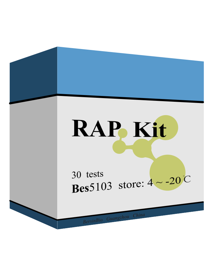 RAP試劑盒,RAP Kit