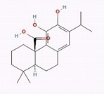 鼠尾草酸,Carnosic acid