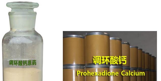 调环酸钙,Prohexadione calcium