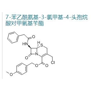 GCLE/7-苯乙酰胺基-3-氯甲基头孢烷酸对甲氧卞酯/,7-Phenglacetamido-3-chloromethyl-3-cephem-4-carboxylic acid p-  methoxybenzyl ester