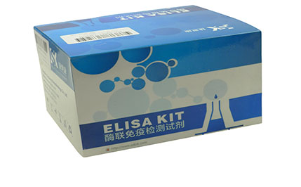 人丝裂原活化蛋白激酶激酶6(MKK6)ELISA KIT,human mitogen activated protein kinase kinase 6,MKK6 ELISA Kit