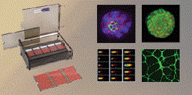 3D细胞培养基质层连蛋白I,Cultrex 3D Culture Matrix Laminin I