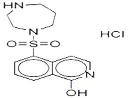 RHO-激酶抑制剂