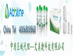 TraKine Pro 活细胞细胞核染色试剂盒,TraKine Pro Live-cell Nuclei Staining kit