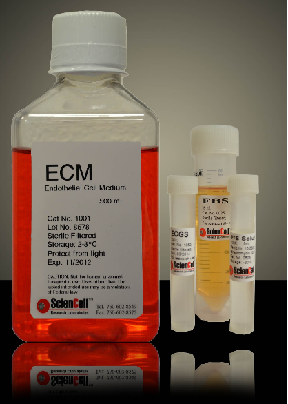 内皮细胞培养基ECM,Endothelial Cell Medium