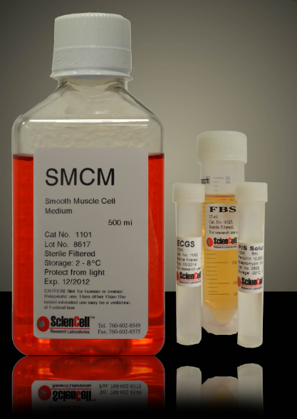 平滑肌细胞培养基 SMCM,Smooth Muscle Cell Medium (SMCM)