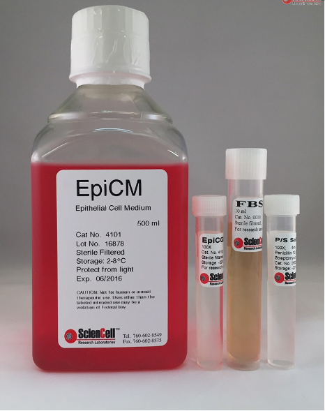 上皮细胞培养基 EpiCM,Epithelial Cell Medium