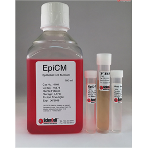 上皮细胞培养基 EpiCM