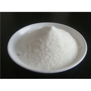 N-氨基-3-氮杂双环[3,3,0]辛烷盐酸盐