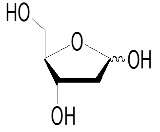 2-脫氧-D-核糖,2-Deoxy-D-Ribose