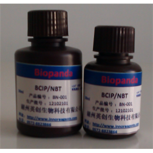 BCIP/NBT 碱性磷酸酶底物液