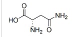 L-天冬酰胺/天冬素/天门冬酰胺,L-Asparagin