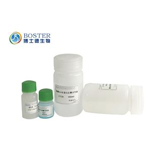 微量BCA蛋白质定量试剂盒