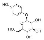熊果苷/ 熊果酚甙/熊果苷/β-熊果苷,Arbutin