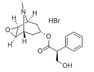氢溴酸东莨菪碱,Scopolamine hydrobromide