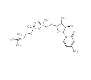 胞磷胆碱,CDP-choline