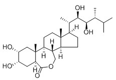 芸苔素内酯,Epibrassinolide