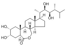 芸苔素内酯,Epibrassinolide